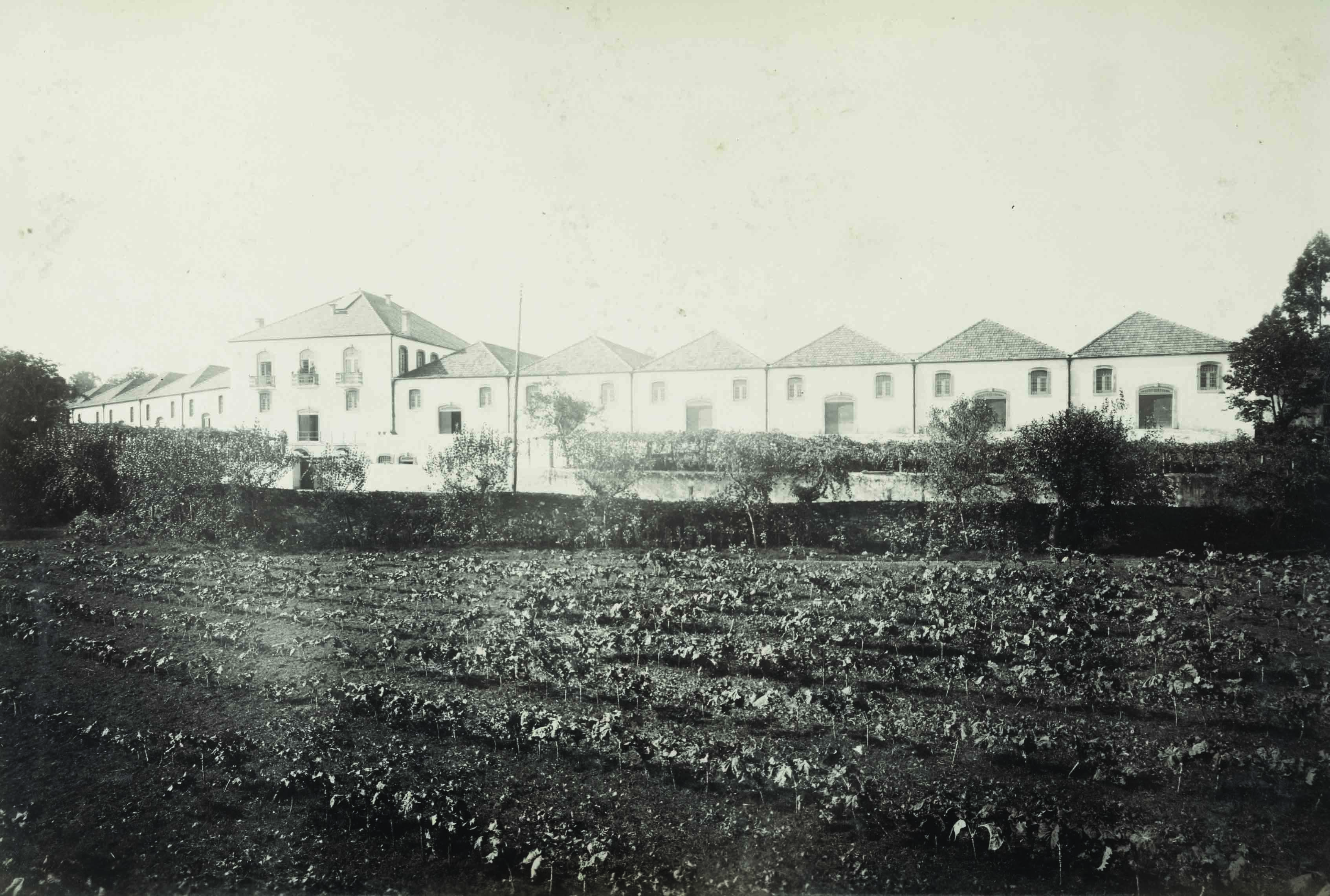 O Porto de Admiração