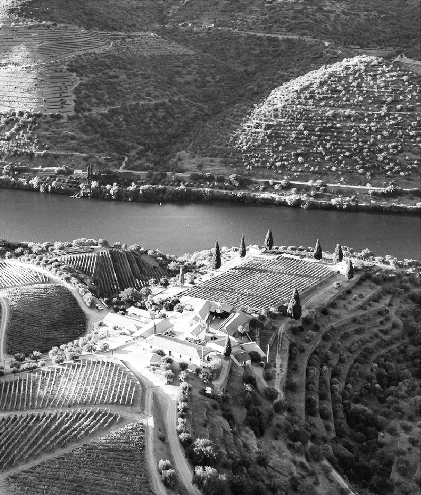 Duas propriedades. Dois microclimas - Quinta de Roriz