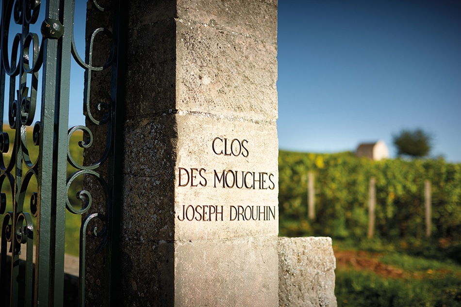 Primum Familiae Vini