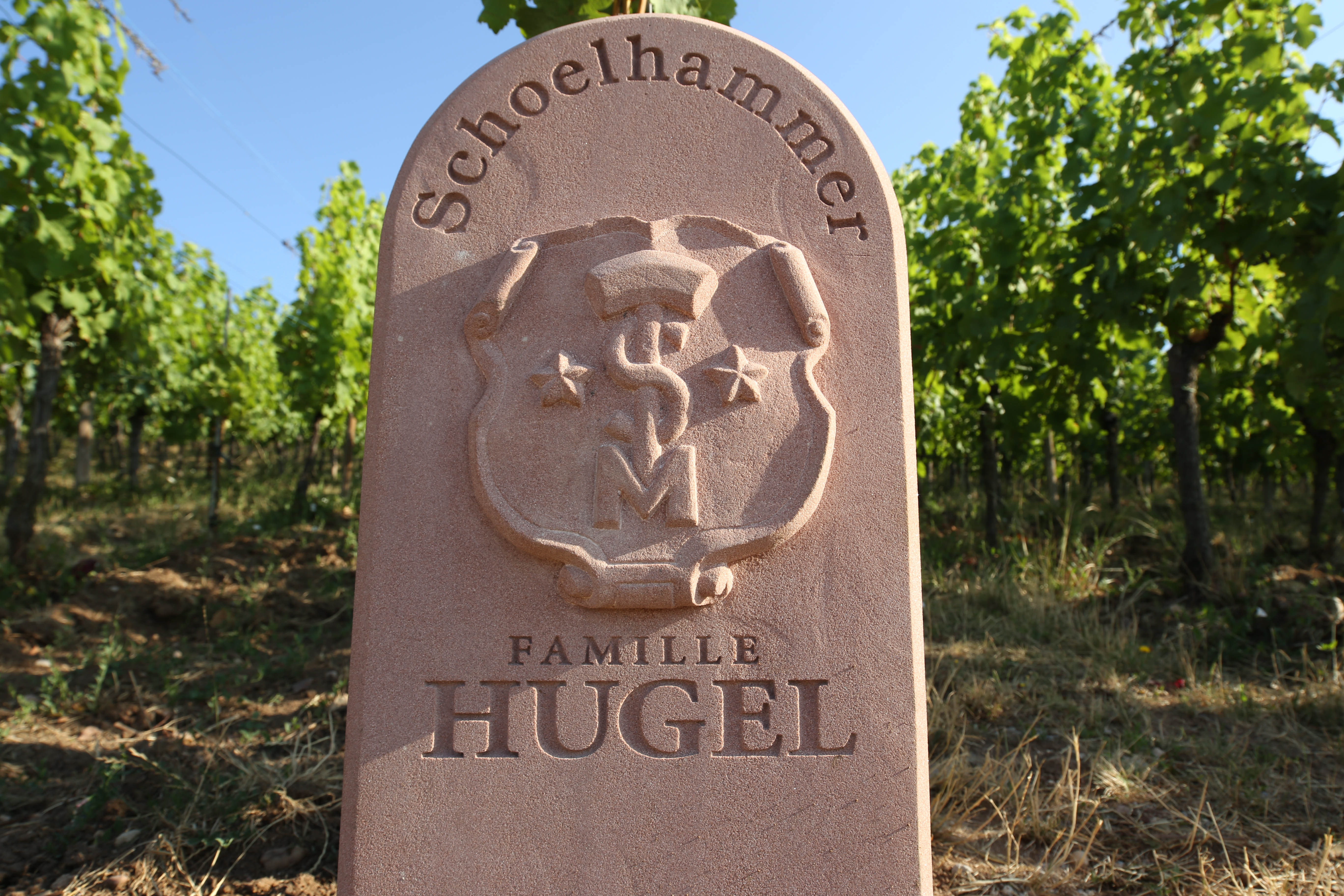 A Família Hugel