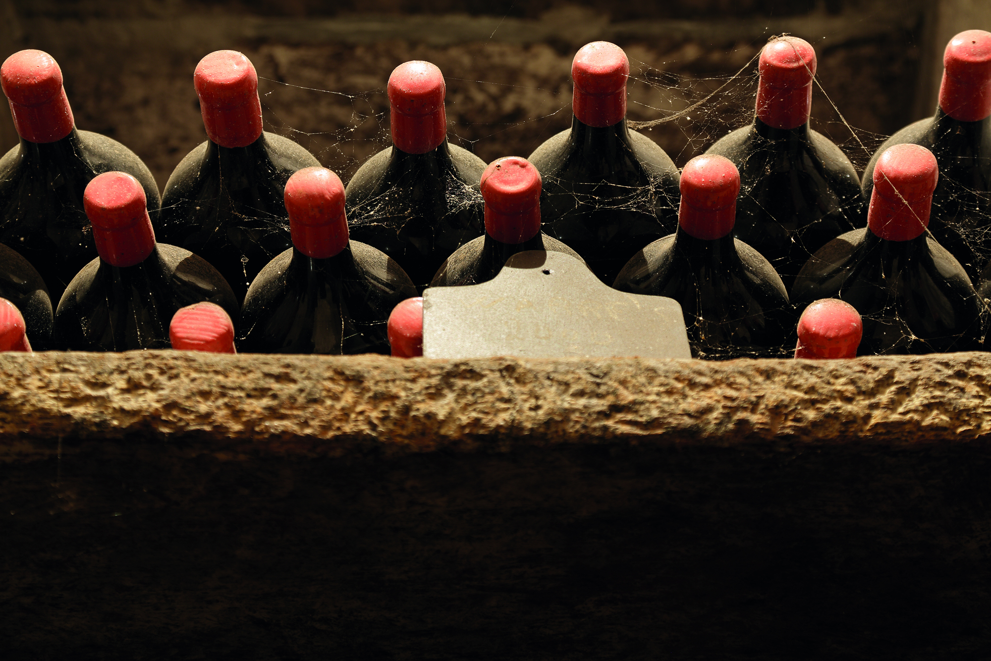 A Warre's nos dias de hoje